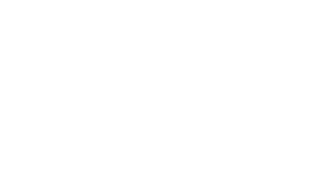 Server Logo